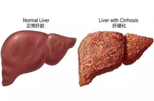 万寿医院万寿医院万寿医院万寿医院万寿医院万寿医院长寿医院