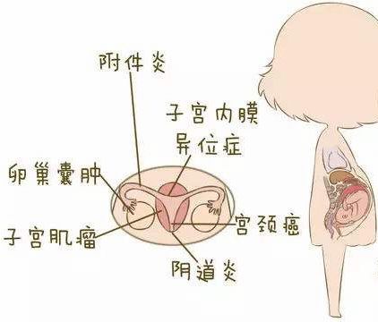 万寿医院万寿医院万寿医院万寿医院万寿医院万寿医院