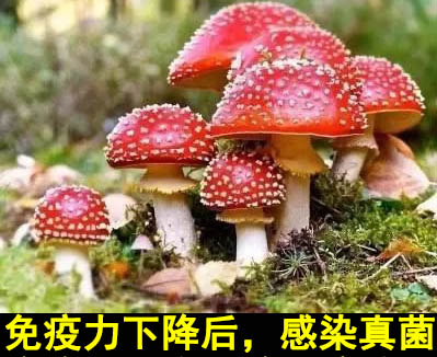 龙科龙医_龙科龙医_灵气治病_美容减肥长寿_高血压高血脂高血糖_脑梗脑溢血_近视肥胖痴呆_头疼失眠_病毒肝炎_病毒感冒_肿瘤癌症