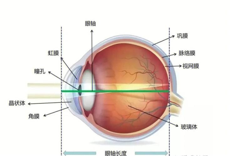 龙科龙医_龙科龙医_灵气治病_美容减肥长寿_高血压高血脂高血糖_脑梗脑溢血_近视肥胖痴呆_头疼失眠_病毒肝炎_病毒感冒_肿瘤癌症