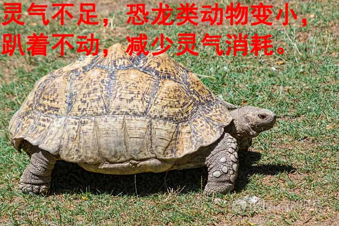 900岁科技_灵气治病_美容减肥长寿_高血压高血脂高血糖_脑梗脑溢血_近视肥胖痴呆_头疼失眠_病毒肝炎_病毒感冒_肿瘤癌症 900岁科技_灵气治病_美容减肥长寿_高血压高血脂高血糖_脑梗脑溢血_近视肥胖痴呆_头疼失眠_病毒肝炎_病毒感冒_肿瘤癌症