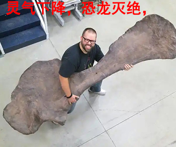 900岁科技_灵气治病_美容减肥长寿_高血压高血脂高血糖_脑梗脑溢血_近视肥胖痴呆_头疼失眠_病毒肝炎_病毒感冒_肿瘤癌症 900岁科技_灵气治病_美容减肥长寿_高血压高血脂高血糖_脑梗脑溢血_近视肥胖痴呆_头疼失眠_病毒肝炎_病毒感冒_肿瘤癌症