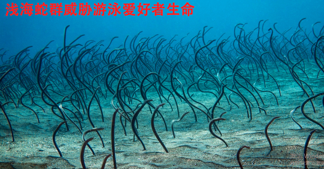 万寿医院_万寿医院_美容年轻长寿_高血压高血脂高血糖_脑梗脑溢血_近视老花_失眠痴呆症_病毒肝炎胃肠炎_病毒感冒_肿瘤癌症