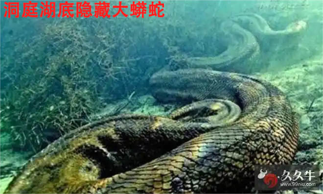 万寿集团_万寿医院_万寿房产_能量机_能量灯_能量铜锅_能量食品_能量饮料_能量汽车_能量空调_能量预测表_高薪招聘