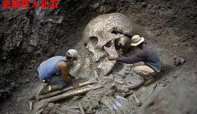 万寿集团_万寿医院_万寿房产_能量机_能量灯_能量铜锅_能量食品_能量饮料_能量汽车_能量空调_能量预测表_高薪招聘